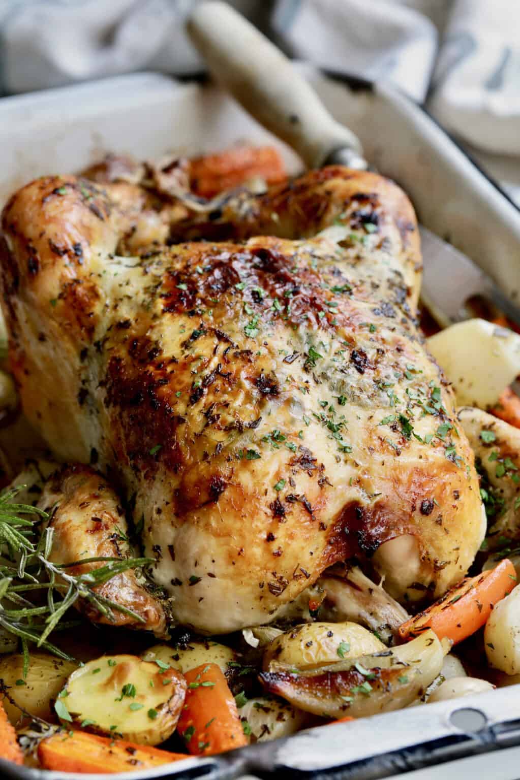 Garlic Herb Butter Roast Chicken Recipe with Root Vegetables