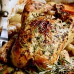 Photo of Garlic Herb Butter Roast Chicken with Root Vegetables with meat fork nearby.