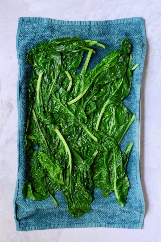 Vegetarian Dolma Recipe for Swiss Chard Leaves with Tzatziki