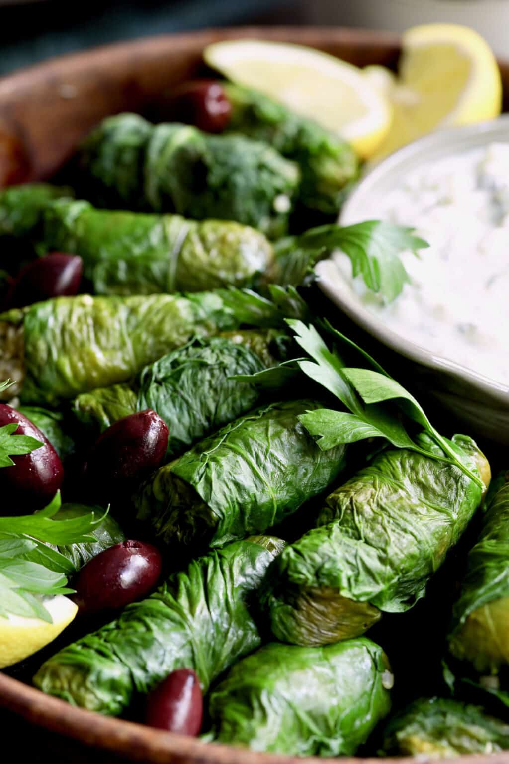 Vegetarian Dolma Recipe for Swiss Chard Leaves with Tzatziki
