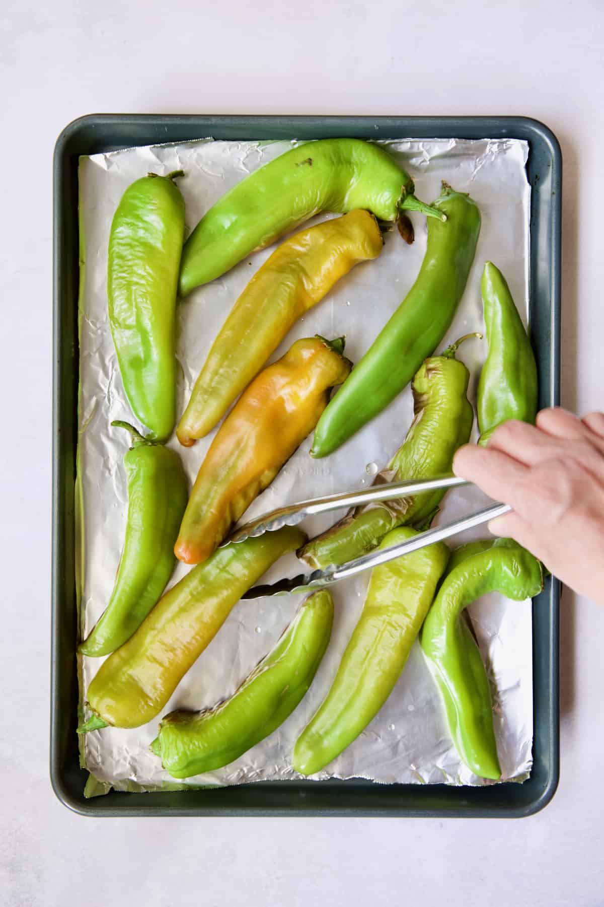 Hatch green chiles on rimmed sheet pan being turned with tongs.