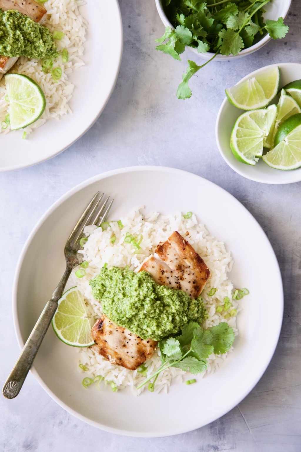 Grilled MahiMahi Recipe with Cilantro Ginger Pesto
