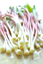 Best Pickled Ramps Recipe - From A Chef's Kitchen