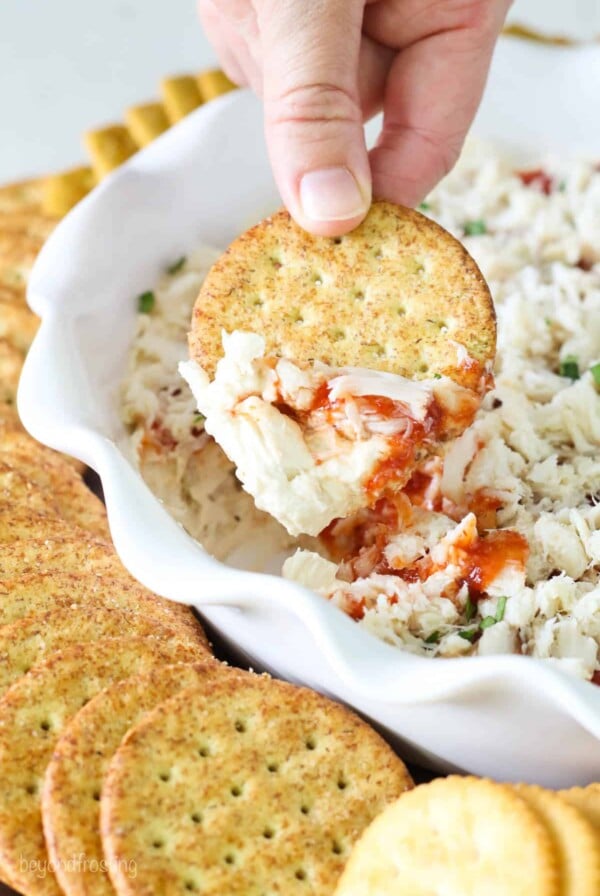 Cold crab dip on cracker being lifted out of dish.
