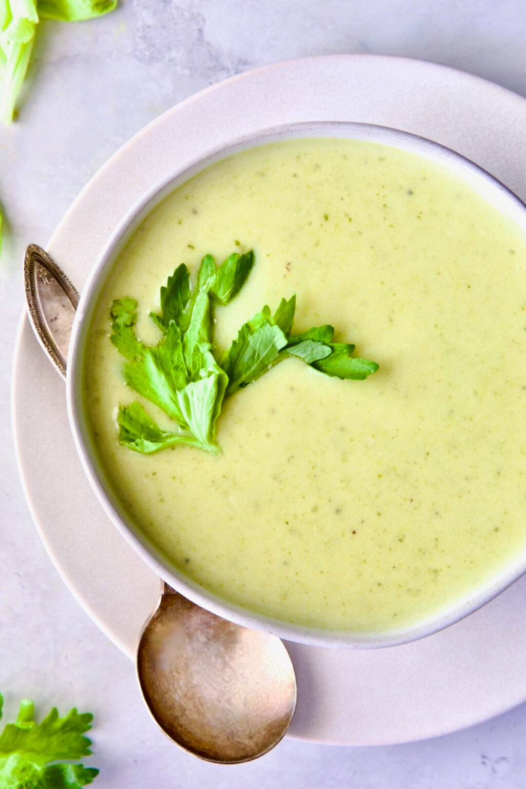 Cream of Celery Leaves Soup Recipe From A Chef's Kitchen