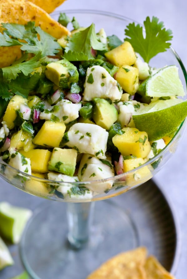Halibut Ceviche in margarita glass garnished with cilantro sprigs.