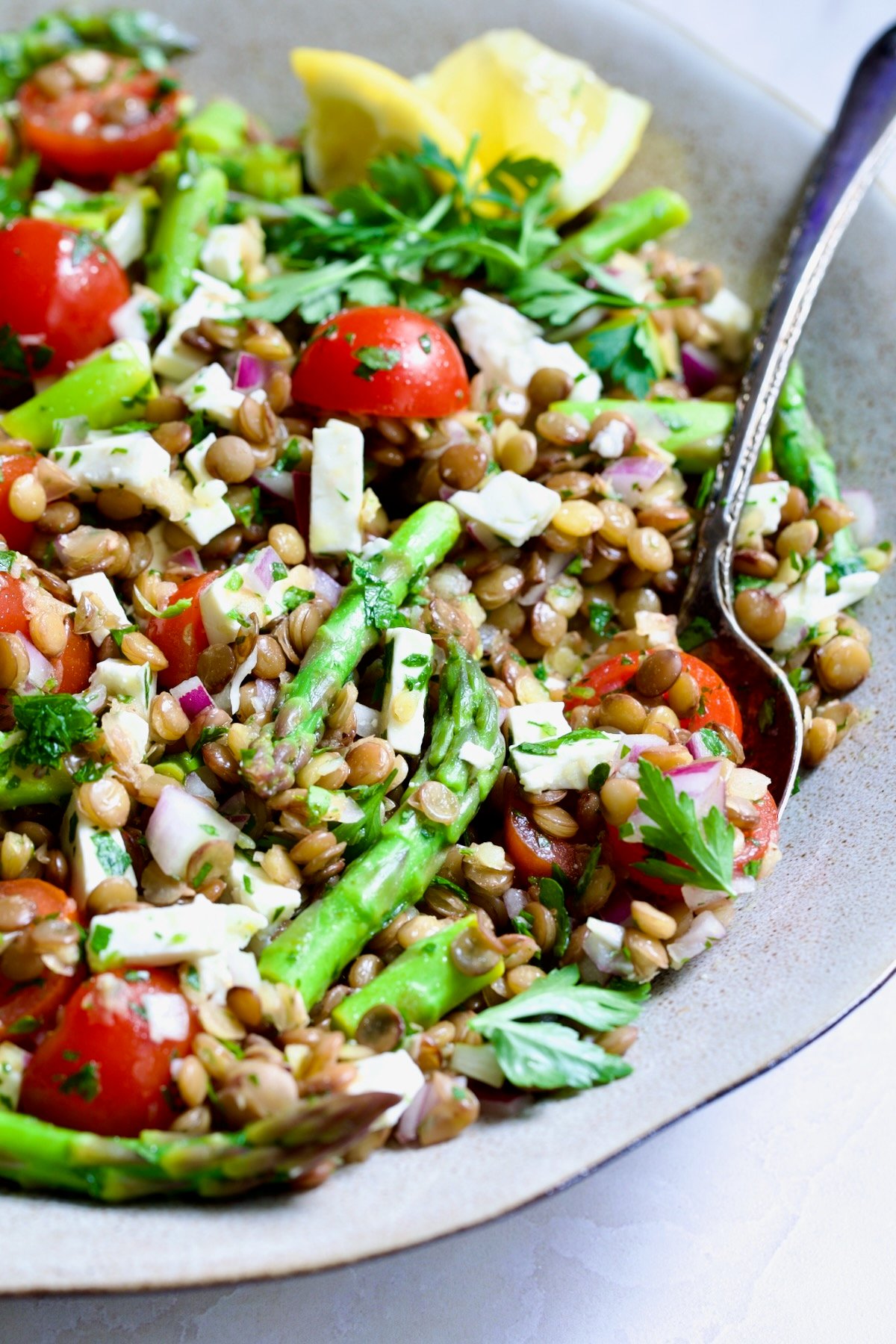 Lemony Lentil Salad with Asparagus and Tomatoes in round earthenware serving bowl with serving spoon.