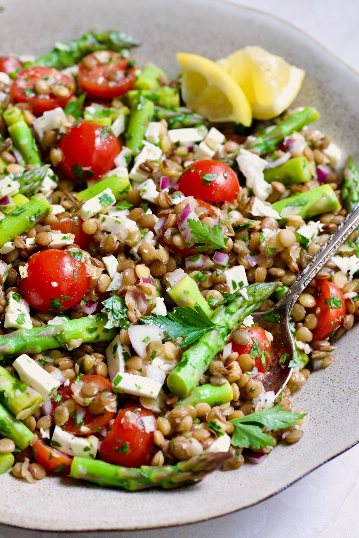 Lemony Lentil Salad with Asparagus and Tomatoes in round earthenware serving bowl with serving spoon.