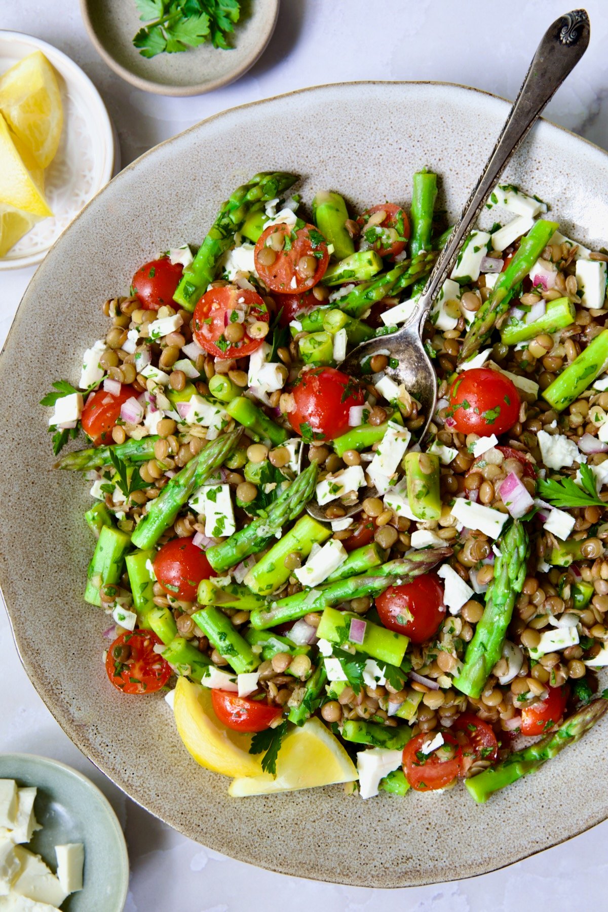 Lemony Lentil Salad with Asparagus and Tomatoes in round earthenware serving bowl with serving spoon.