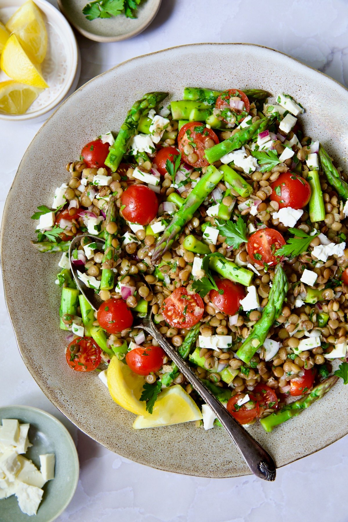 Lemony Lentil Salad with Asparagus and Tomatoes in round earthenware serving bowl with serving