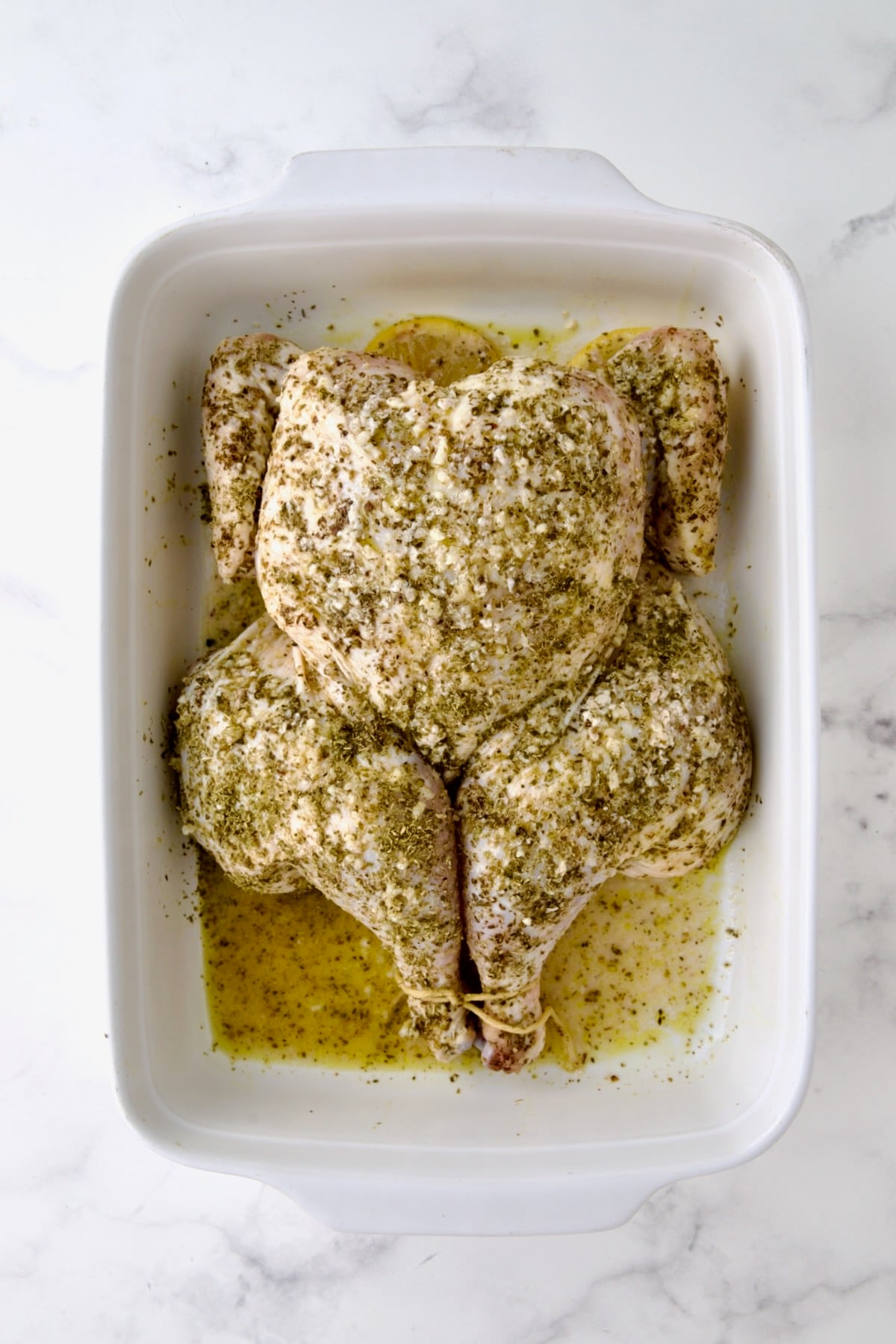 Spatchcocked fryer-size chicken smothered in olive oil, lemon juice, garlic and oregano ready to roast in white rectangular baking dish.
