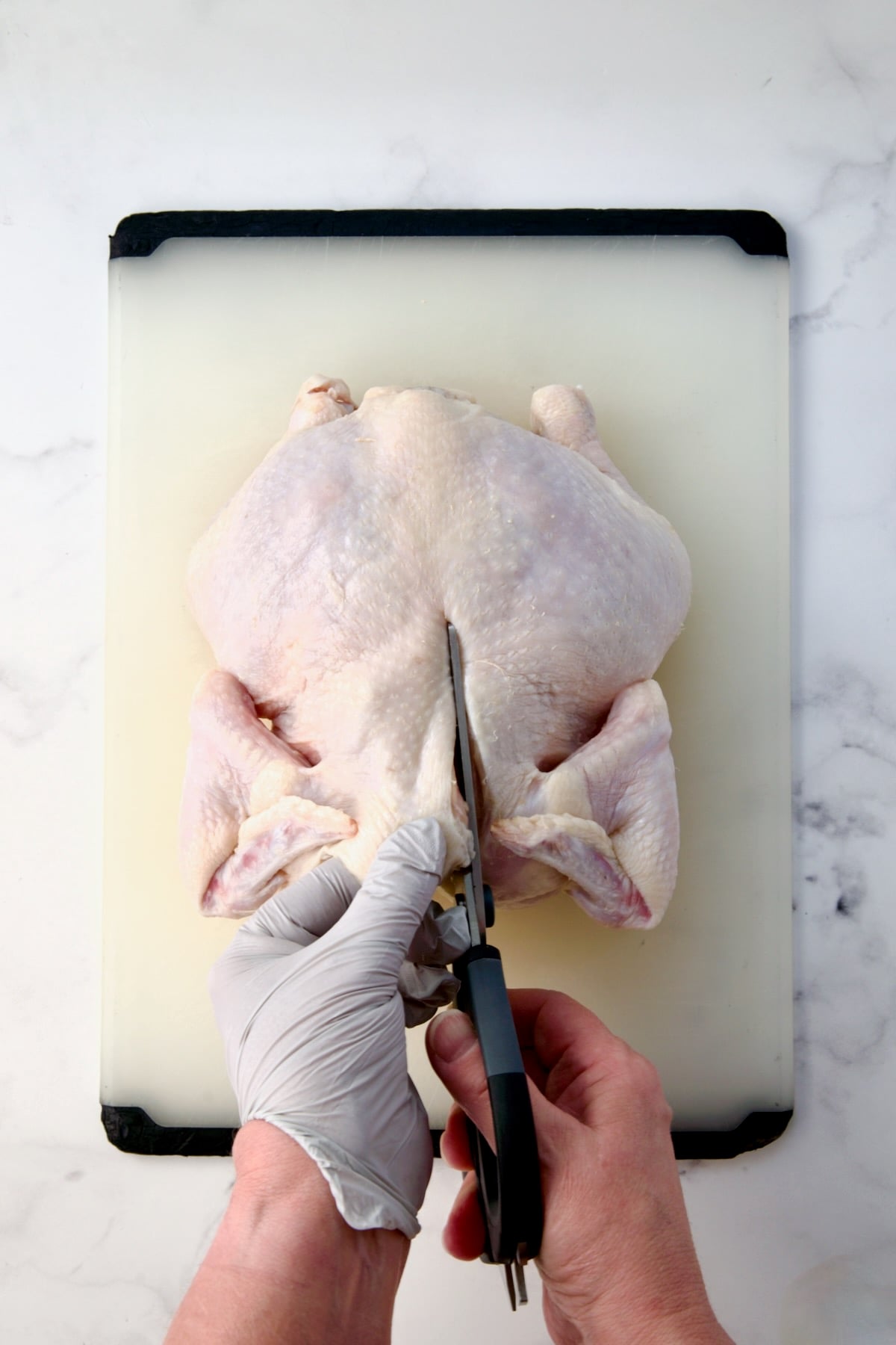 Fryer-size chicken breast side down on white plastic cutting board with gloved hand cutting out the backbone.