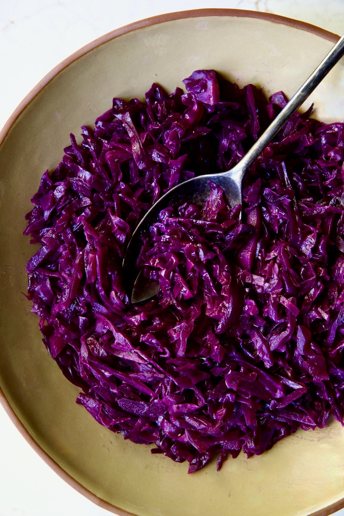 Sweet and Sour Red Cabbage in earthenware bowl with serving spoon.