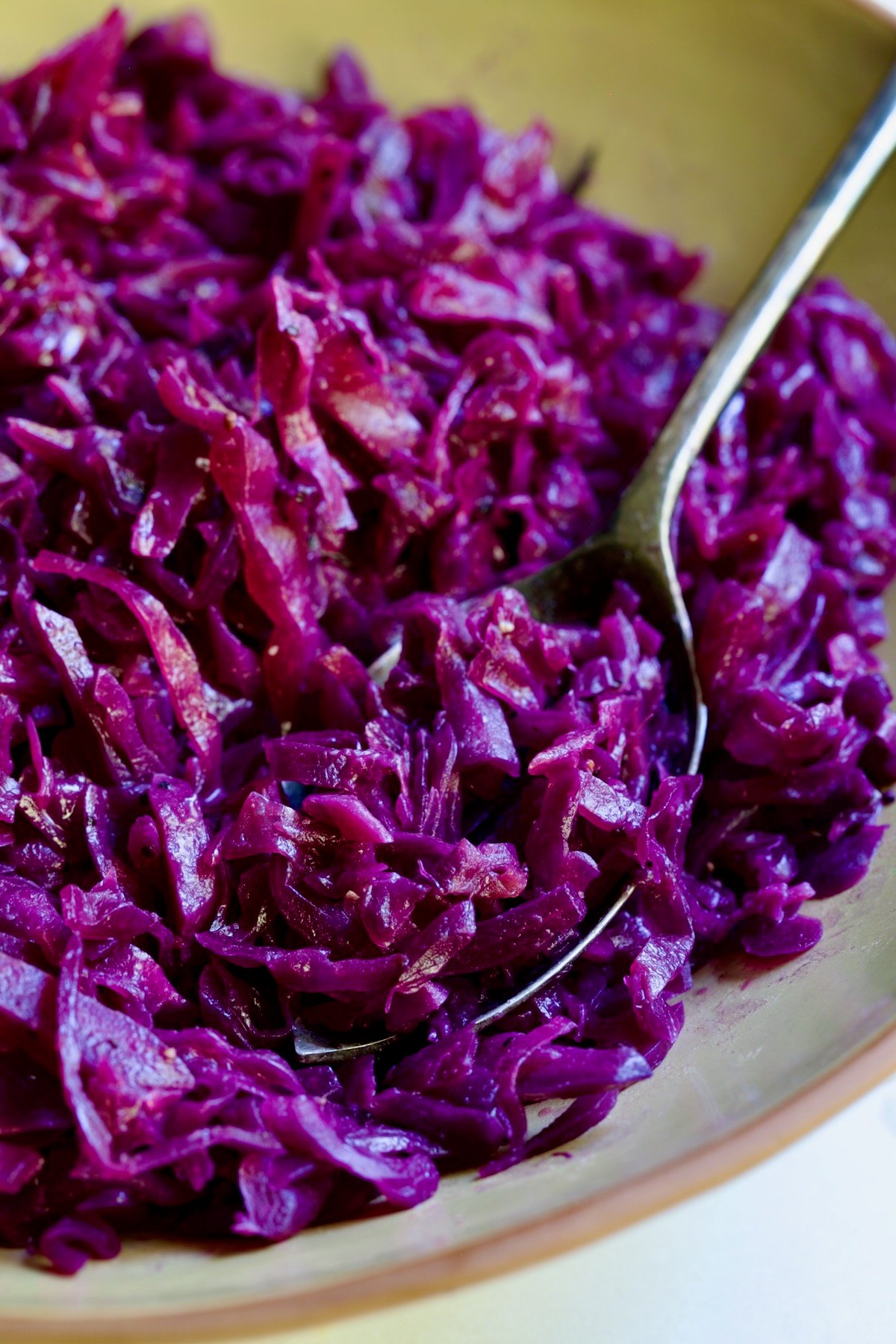 Sweet and Sour Red Cabbage in earthenware bowl with serving spoon.