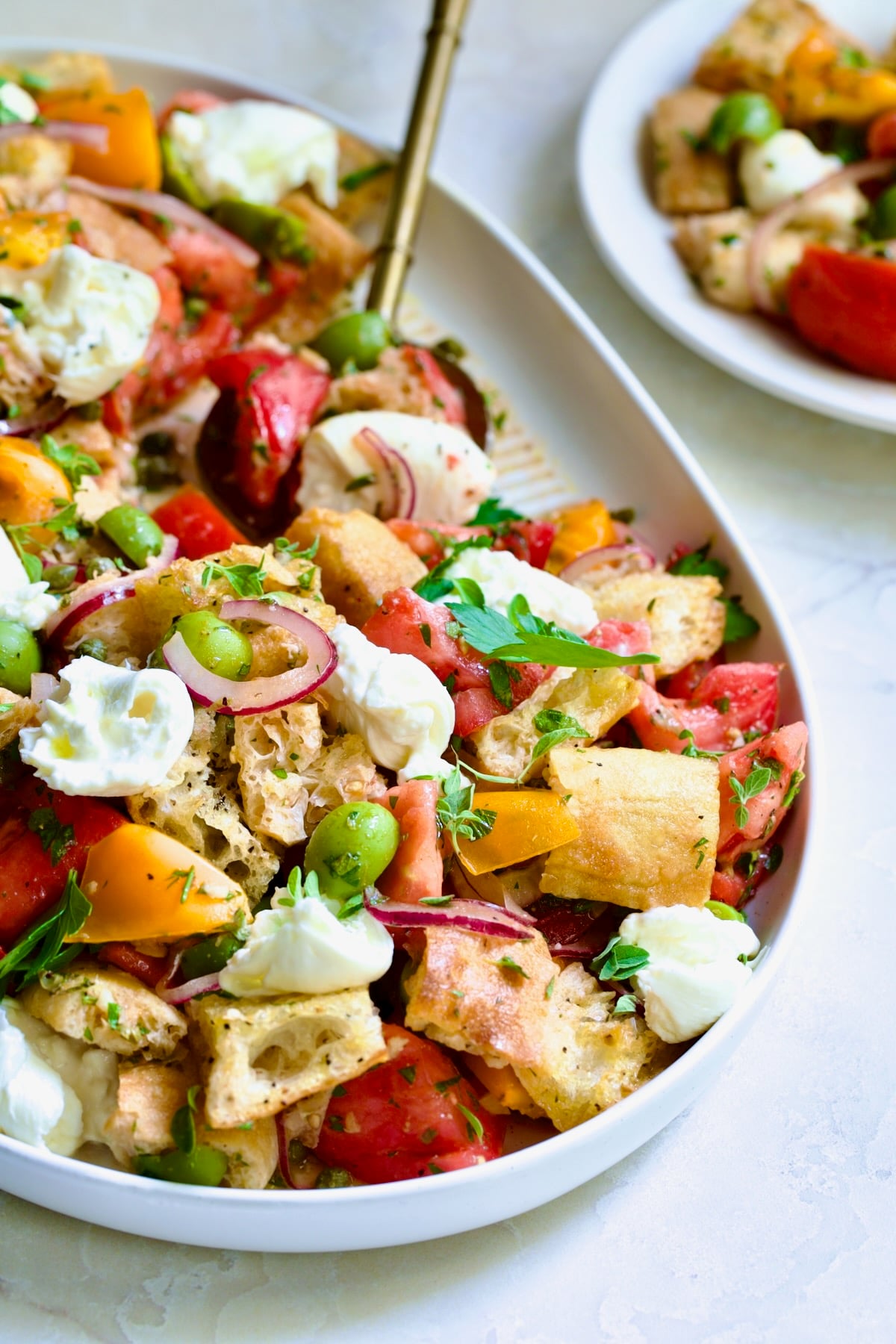 Panzanella with Preserved Lemon Viniagrette on oval white platter with some served on round white plate.