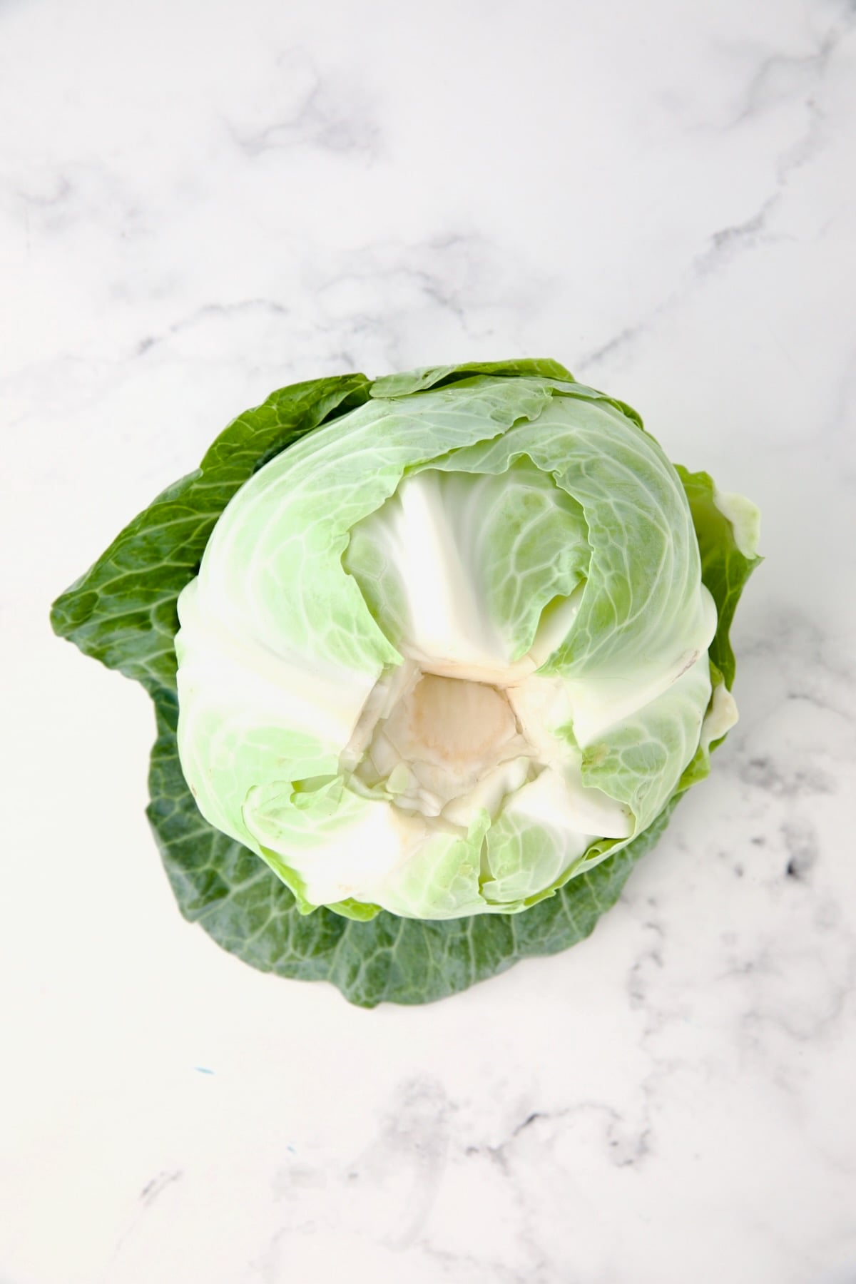 Head of cabbage with core removed.