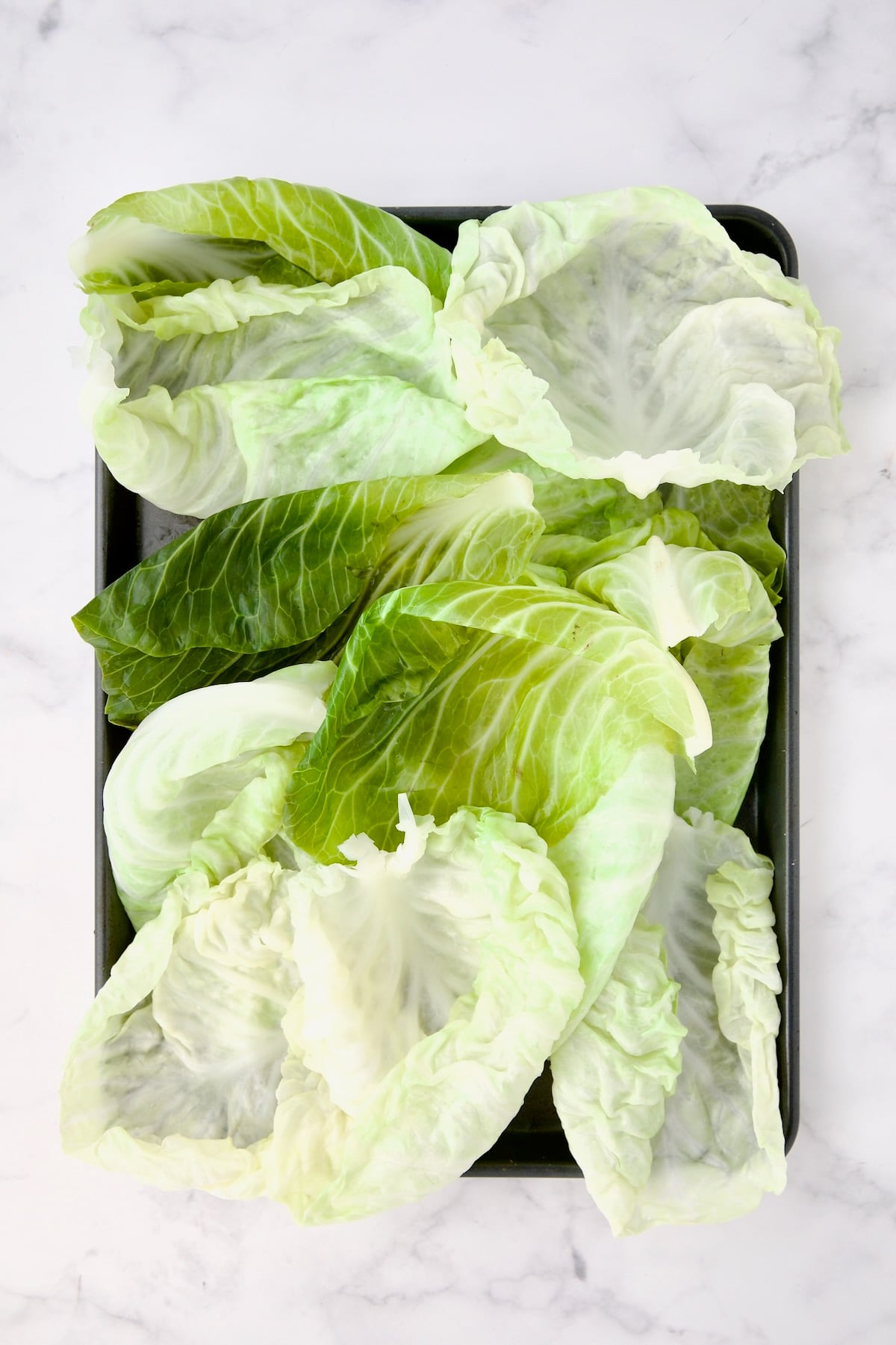 Blanched cabbage leaves on rimmed sheet pan.